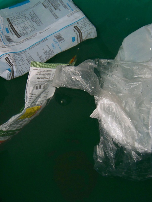Plastpåsen ställer till med stor skada på naturen. Foto: Manmeet Singh