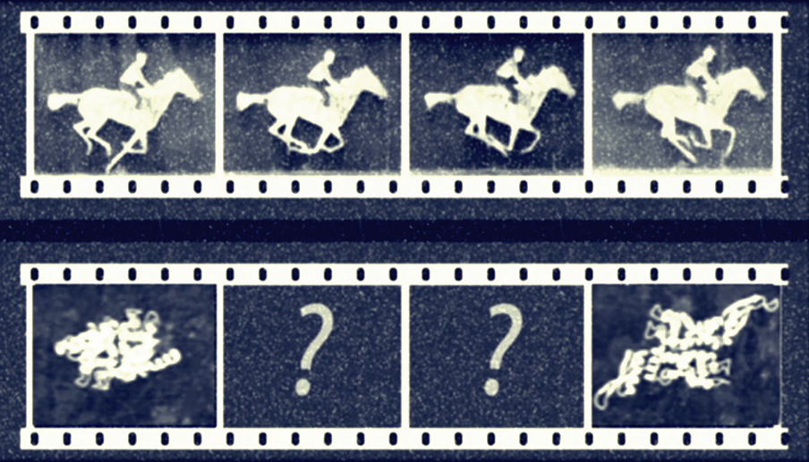  Eadwaerd Muybridges klassiska bildserie av en galopperande häst möjliggjorde för detaljerade analyser djur och människor i rörelse. Dagens proteinforskare ställs inför en liknande situation när de försöker förstå hur proteiner rör sig. Det visar sig nu att datorberäkningar kan förutse proteinernas detaljerade rörelse när de ändrar form. Foto: KTH.
