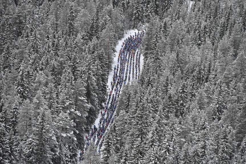 Flygfoto på ett gäng skidåkare i tät granskog. Foto: Vasaloppet