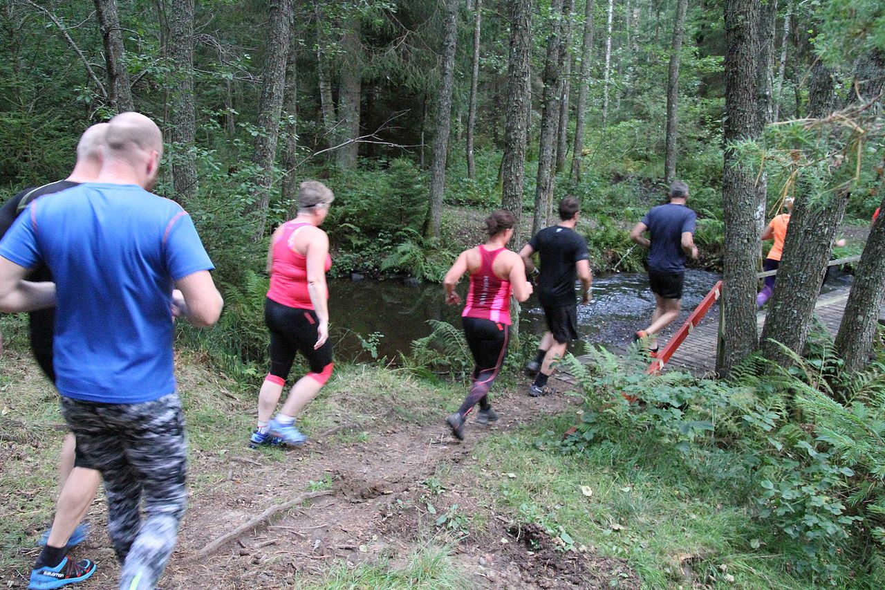 En grupp löpare ute i skogen. Foto: Jernchar 