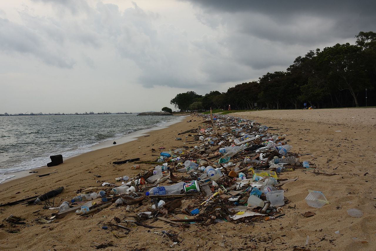 Foto: vaidehi shah from Singapore - Litter on Singapore's beach