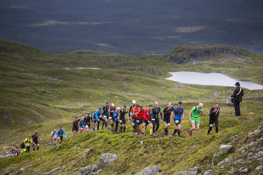En grupp löpare på ett fjäll. Foto: Fjällmaraton 