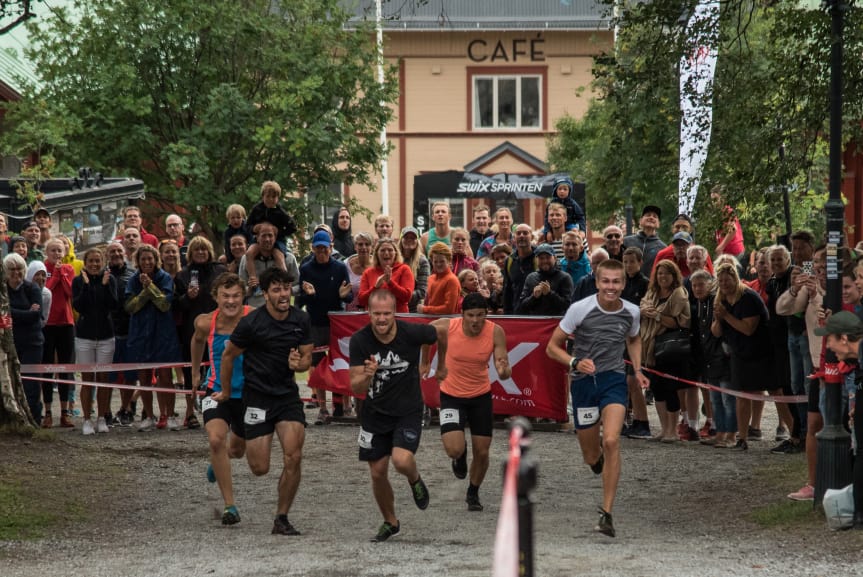 Löpartävling. Foto: Fjällmaraton 