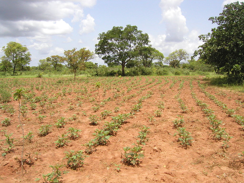 Åkermark i Burkina Faso. Foto: Wikimedia