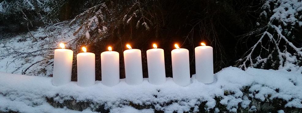Sju stearinljus i en vinterskog. Foto: Naturskyddsföreningen