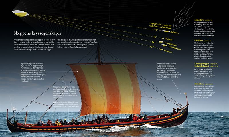 Vikingaskepp. Fotograf: Medströms Bokförlag