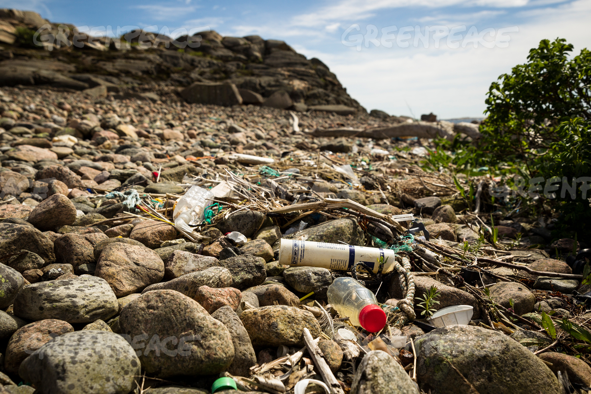 Plastskräp på en klippstrand i Bohuslän. Foto: Greenpeace 