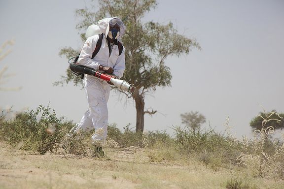 Man bekämpar gräshoppor.  Foto: FAO/Isak Amin 