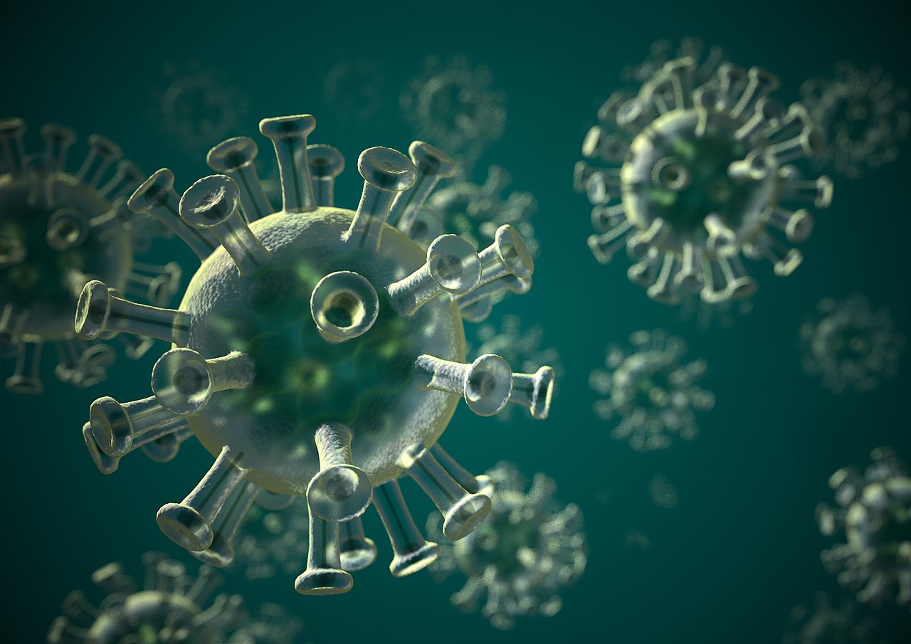 Corona-virus. Foto: HFCM Communicatie