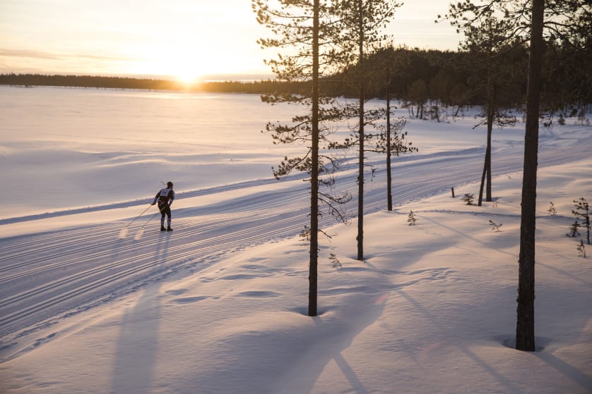 Ensam skidåkare i vinterlandskap. Foto: Vasaloppet 